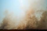 Rising From the Dust – Salt + Sparrow