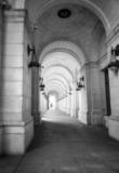 Willful blindness in the reflecting pool cases