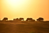 hintonthetrail.com – The Best Guide for Planning a National Park Visit