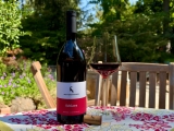 Hans Rottensteiner Schiava—Chill it or Not – Pull That Cork