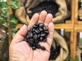 Coffee N’ Chill Fest Brews Up Coffee Experiences Across SM Malls in the East Metro — LifestyleBucket