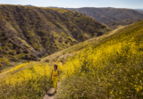 Things to do in Santa Barbara: March (2026)