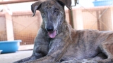 We couldn’t save his eye, but we did save his life!