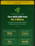The Platform Letting Everyday Nigerians Own Palm Trees and Earn for Decades – DiazHub