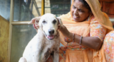 Solly’s life force had almost slipped away, until loving help turned it around…
