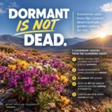5 Lessons on Dormat vs. Dead Leadership