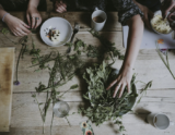 How I Helped My Client Create Her First Online Course — decor8