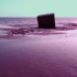 Motionographer® Forever Appoints Chris Bahry as CEO to Lead Next Phase of Growth