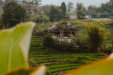 Sidemen Bali: 24 tips voor activiteiten, restaurants en hotels