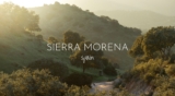Searching for Lynx in Sierra Morena, Spain – This Wild Life Of Mine