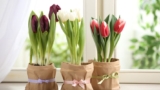 Simple Apartment Updates to Welcome the Spring Season