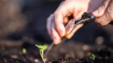 New Soil Tests, Same Goal: Better Agronomic Decisions