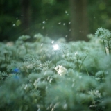 Azaleh – Sound Journal(s) – Ambientblog