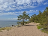 Hiking the Stockholm Archipelago Trail on Sandhamn