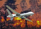 The Iran War is reaching the world’s rainforests – The Understory
