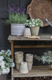 My Favorite Outdoor Planters This Season