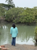 Sunderbans Beyond the Tiger – Local Experiences and Rural Homestays