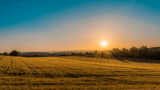 Agriculture Terms & Definitions for Farmers Pt. 4
