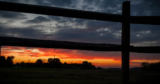 Farmers Left Waiting After Senate Farm Bill Fails to Advance | News Release