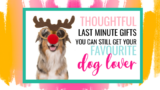 Last Minute Holiday Gifts You Can Still Get Your Favourite Dog Lover