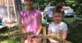 A Poem for Three Baby Birds