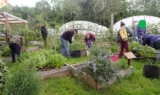 Spring into gardening with a new Tir Coed course