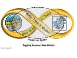 Toggling Between Two Worlds: Making Sense of Organizational Change (abridged)