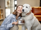 Top 5 Dog Food Brands for Optimal Canine Nutrition