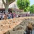 Upcoming Beer Events Brewing in Sonoma County