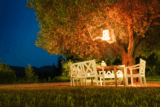 40 Best Landscape Lighting Ideas
