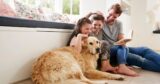 What Every Pet Owner Should Know