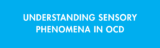 Understanding Sensory Phenomena in OCD