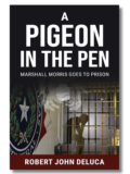 A Pigeon in the Pen by Robert John DeLuca