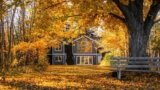 What Is My Home Worth? A Guide to Home Valuation