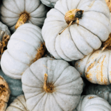 Is It Too Early To Decorate For Fall? –