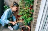 Small Terrace Garden Cost in Chennai: A Breakdown of Setup Expenses