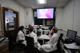 What Is Peer Review? How AMC Veterinarians Advance Veterinary Medicine