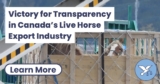 Victory for Transparency in Canada’s Live Horse Export Industry