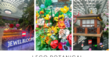 LEGO Botanicals takes over Jewel from May to July – TheWackyDuo.com