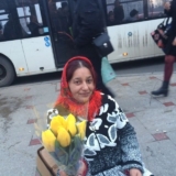 Petals of Peace