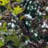 iOS 27 to feature upgraded Camera interface and Photos app: Here’s what’s rumored