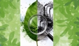 Analysing the Emerging Regulatory Framework in India