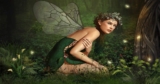 What Is The Tinkerbell Effect?