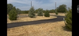 Tips for New Tree Establishment | Fort Worth, Texas