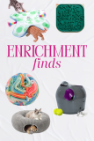10 enrichment toys for dogs and cats