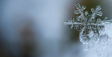 Winter Doldrums | Close To The Bone Publishing