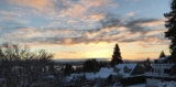 New Year’s Eve 2021: More Patience, More Kindness