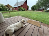 Dog-Friendly Camping, Glamping, and Cabining in Colorado with HipCamp – Solo Travel Girl’s Adventures