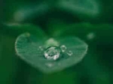 The Strongest Leaders are NOT the Center of Attention – Rockwood Leadership Institute