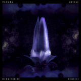 Panama – Hummingbird (ft. Amtrac)(Banyan Remix)